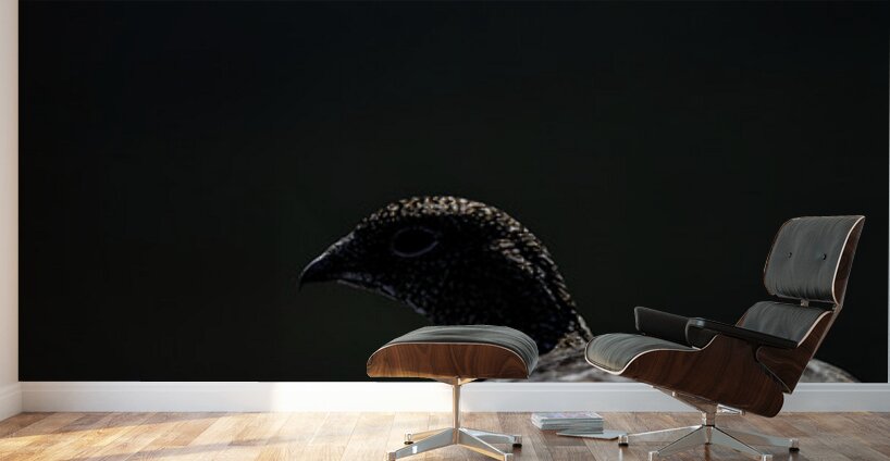 Beyond - a Valley Wall Murals