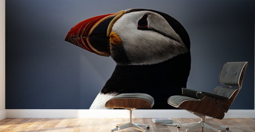 My best shot ever  Wall Murals