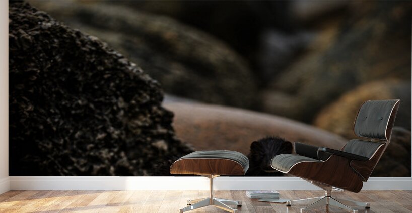 Mighty Mink I Wall Murals