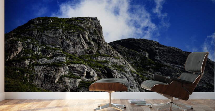 Pretty Cliff III Wall Murals