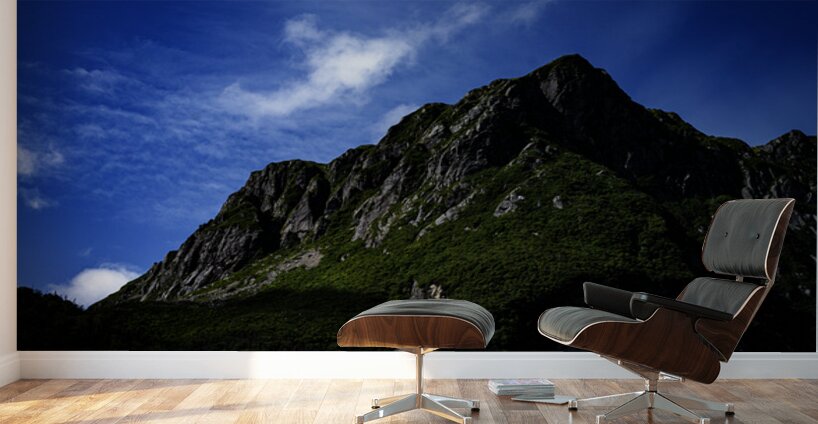 Pretty Cliff II Wall Murals