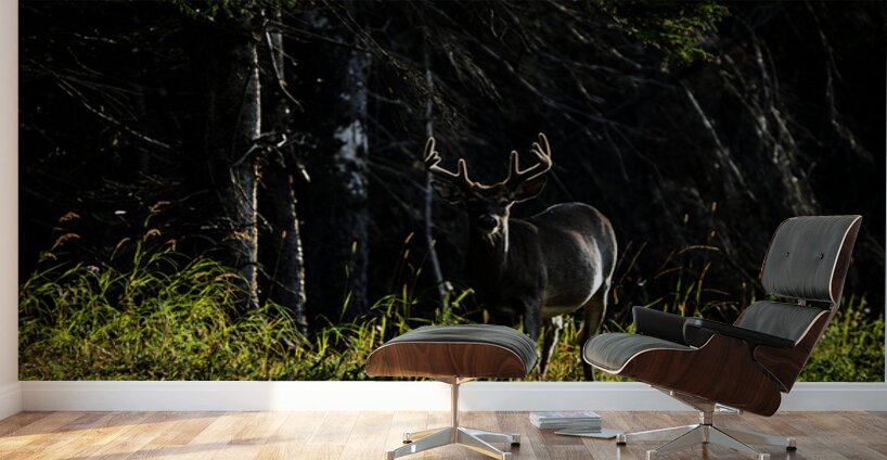 Great Prince of the Forest II Wall Murals