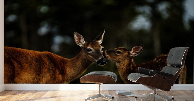 Mother Nature I Wall Murals