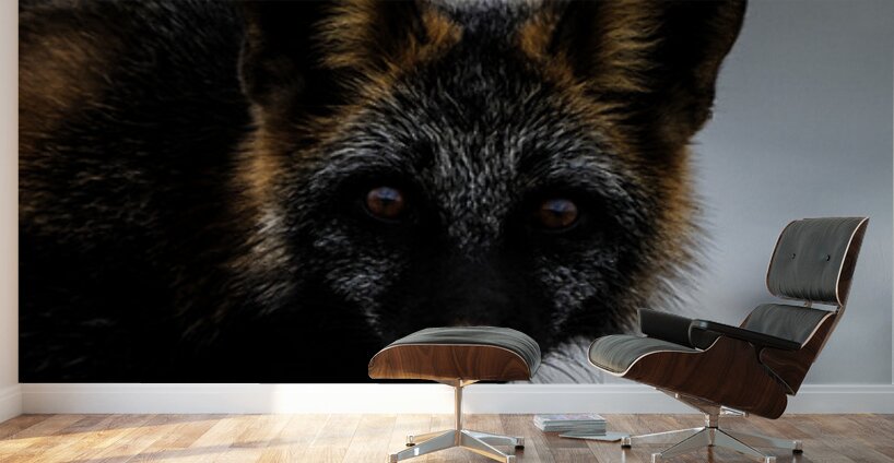 Fire Fox II Wall Murals