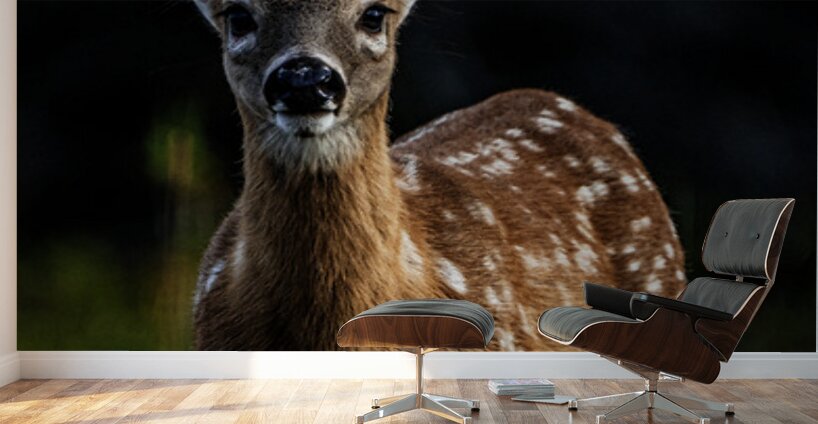 Eye for an eye III Wall Murals