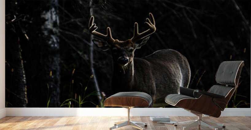 Great Prince of the Forest III Wall Murals