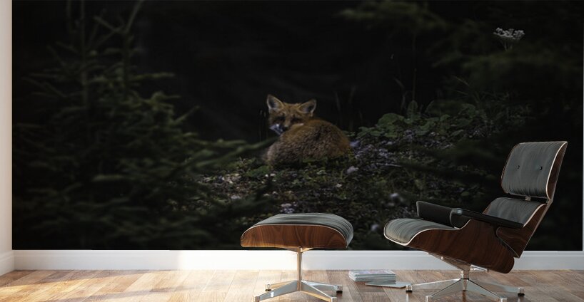 Un soir de septembre Wall Murals