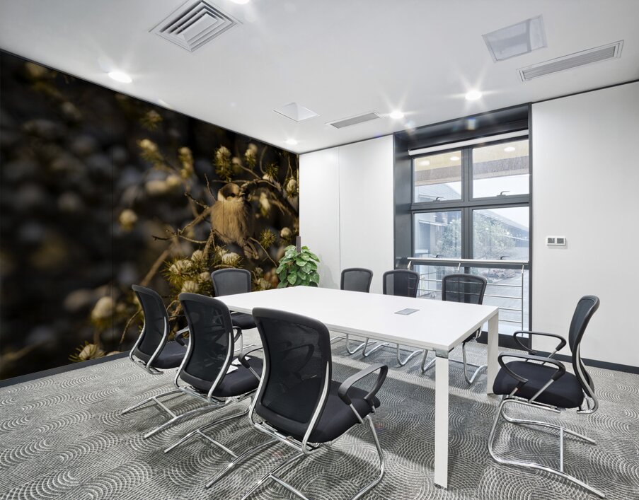 Le petit curieux Wall Printing