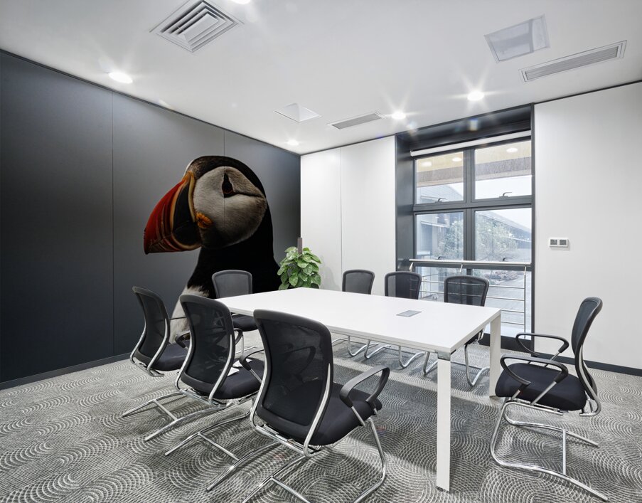 Sea Parrot III Wall Printing