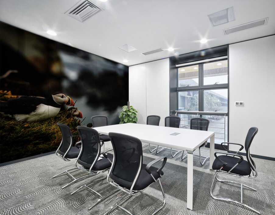 Curious Dude II Wall Printing