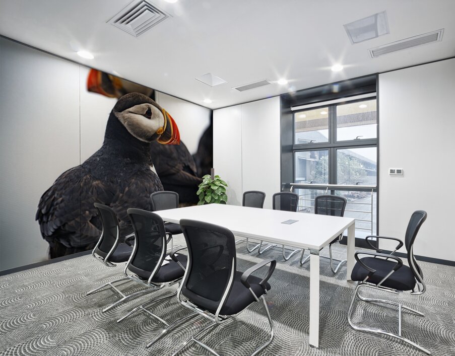 Chilling Puffin III Wall Printing