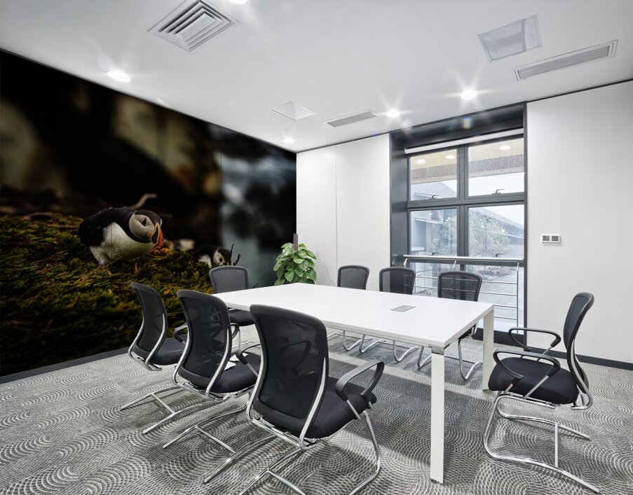 Curious Dude Wall Printing