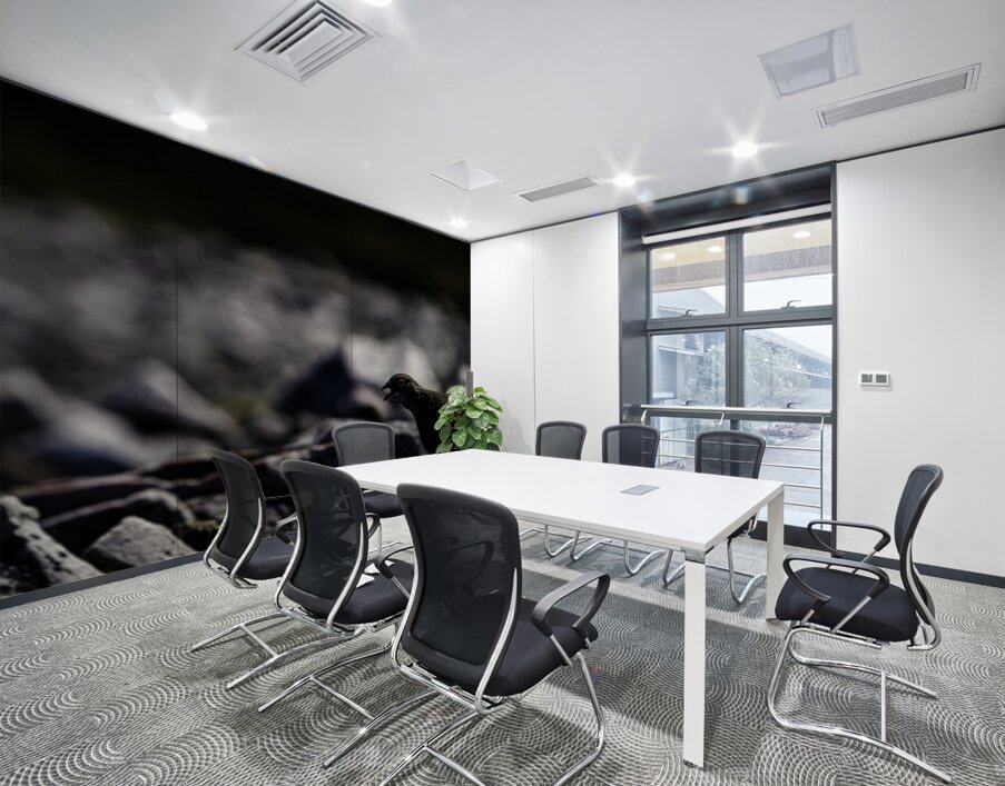 Baritone Bird II Wall Printing