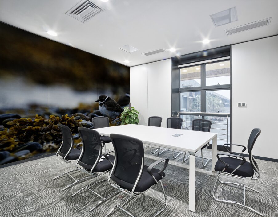 Pretty Plover II Wall Printing