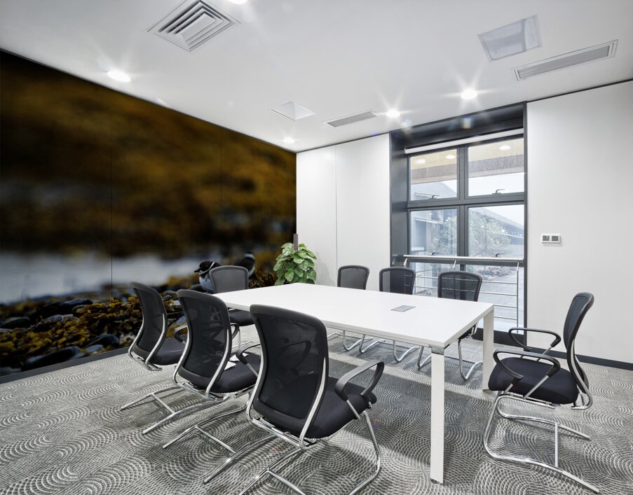 Pretty Plover I Wall Printing