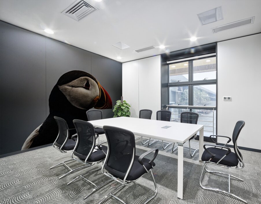 Sea Parrot Wall Printing