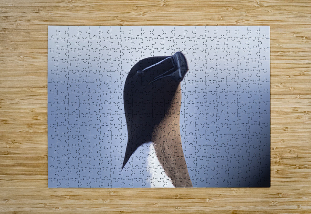 Bec de rasoir Francois Lapointe Puzzle printing