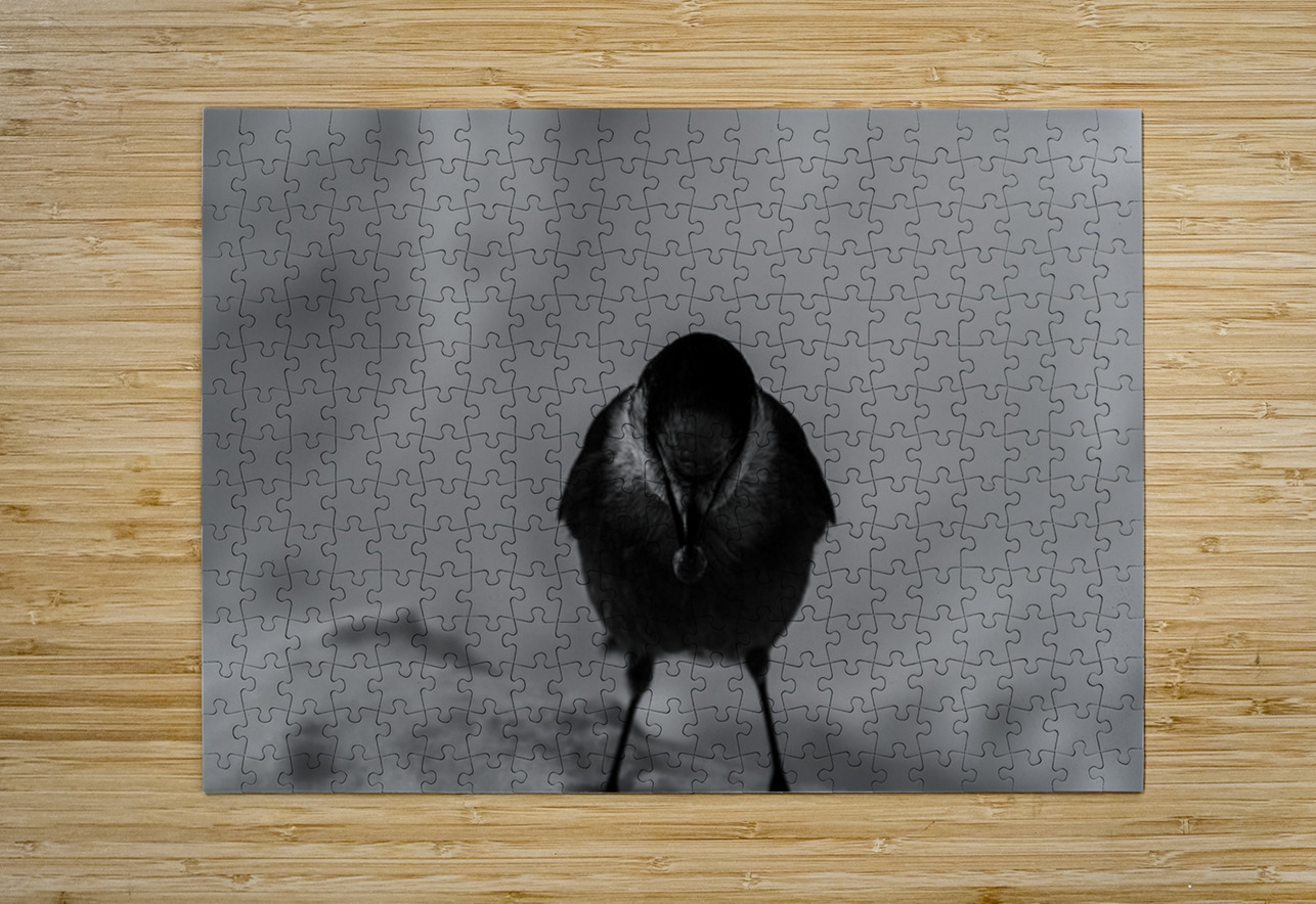 Pimbina Francois Lapointe Puzzle printing