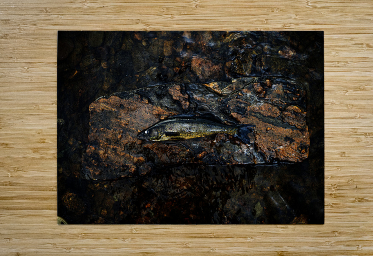 La grosse prise Francois Lapointe Puzzle printing