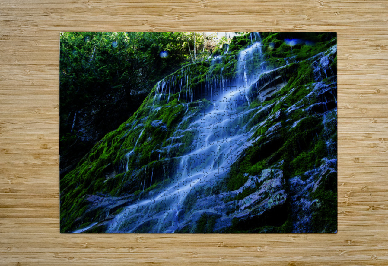 Les tropiques en Gaspesie Francois Lapointe Puzzle printing