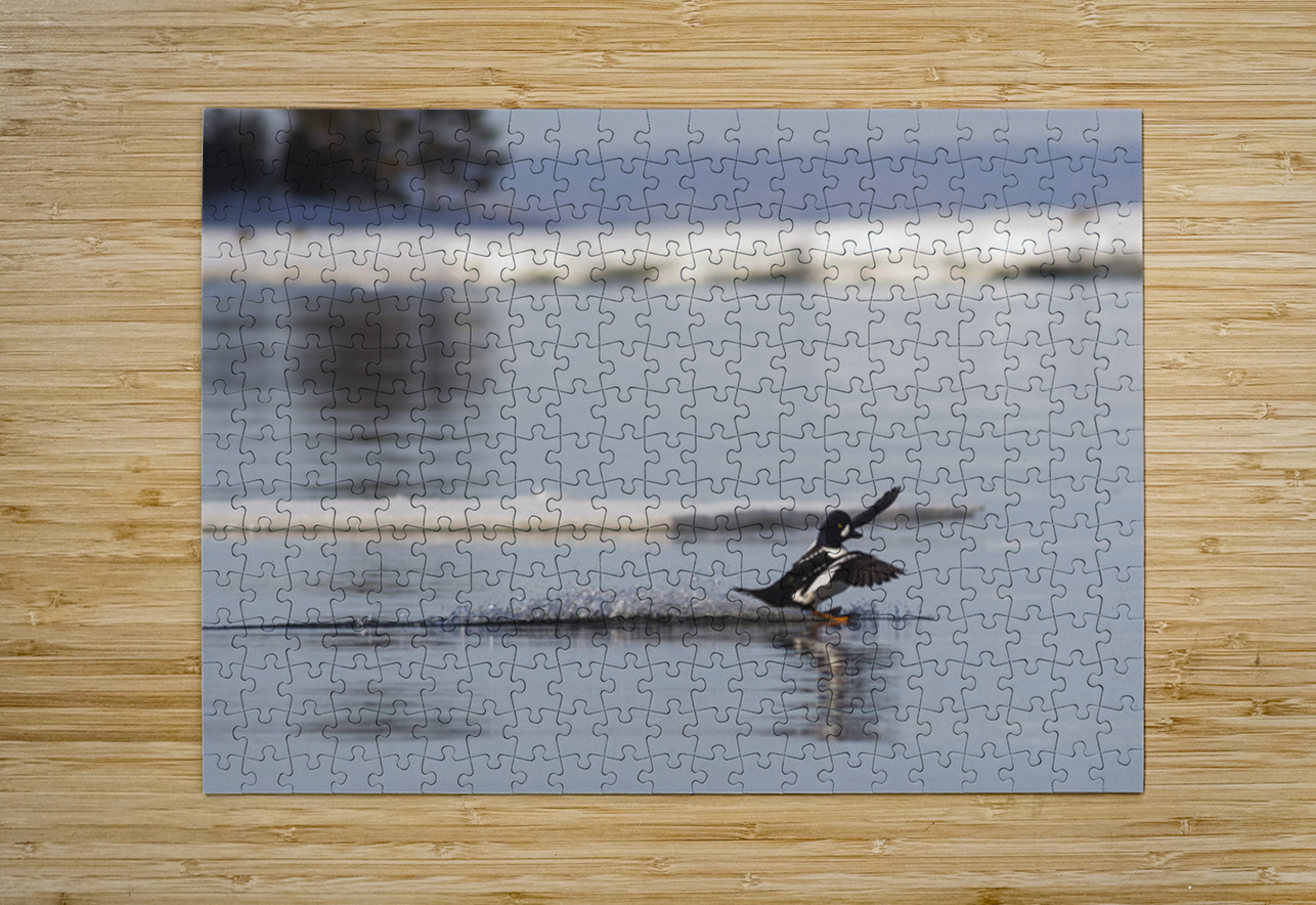 Surf mode Francois Lapointe Puzzle printing