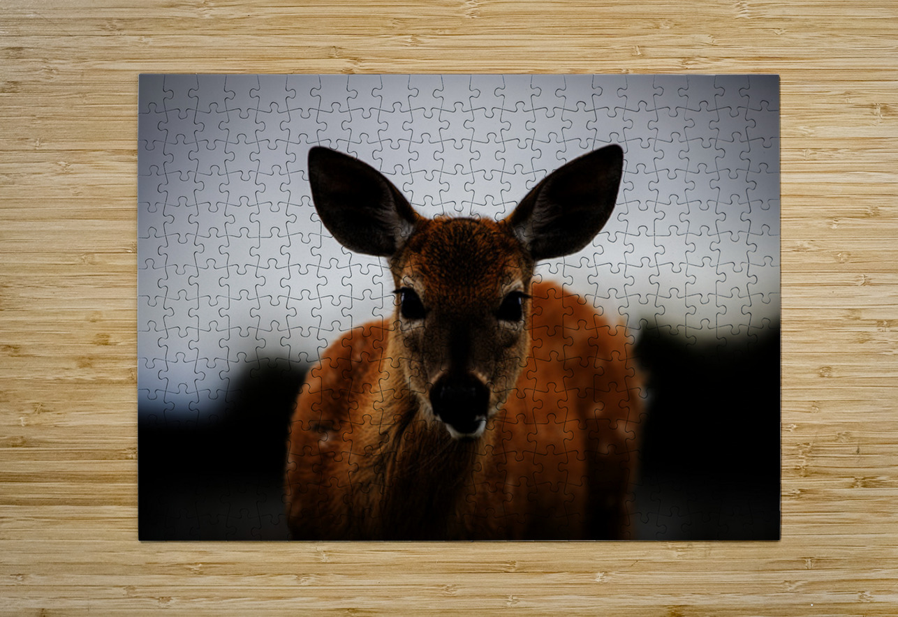 Bambi Francois Lapointe Puzzle printing