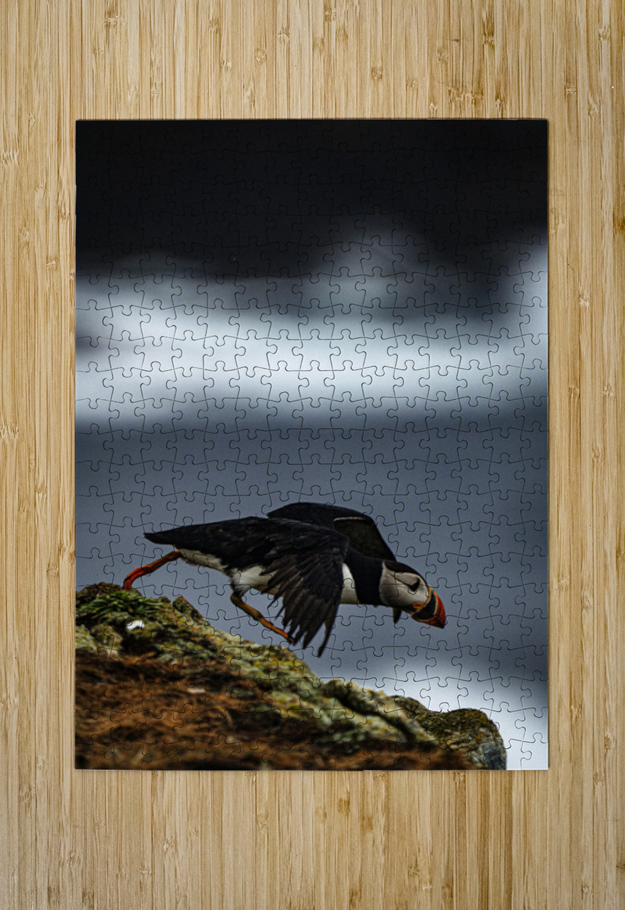 Off the Cliff it went Francois Lapointe Puzzle printing