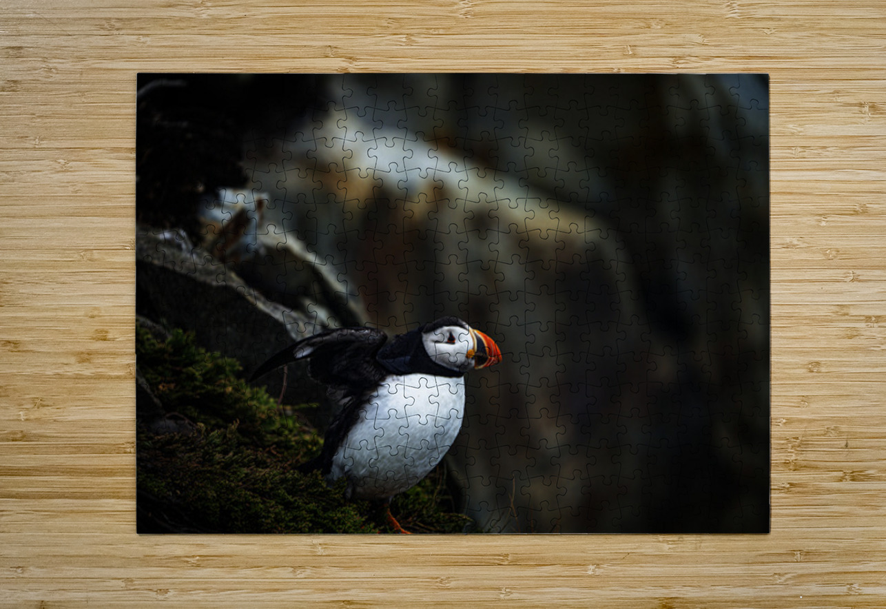 Shake the fog off Francois Lapointe Puzzle printing