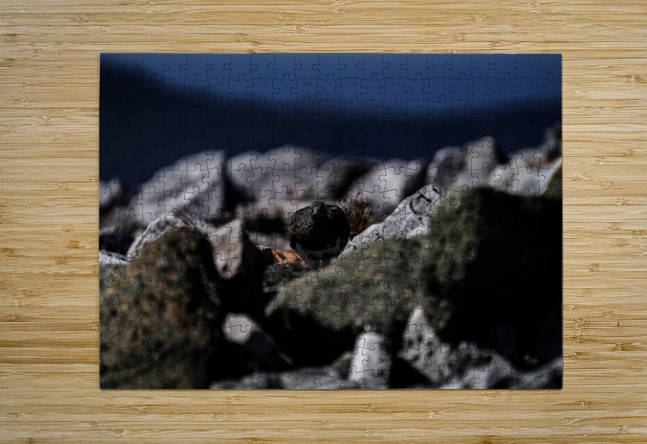 Hard as Rock Francois Lapointe Puzzle printing