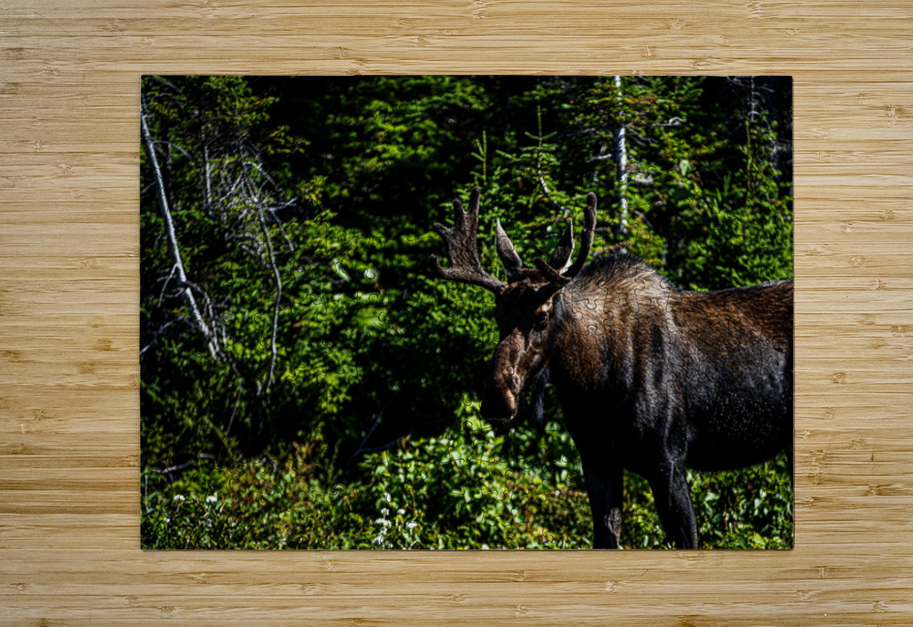 Bullwinkle I Francois Lapointe Puzzle printing