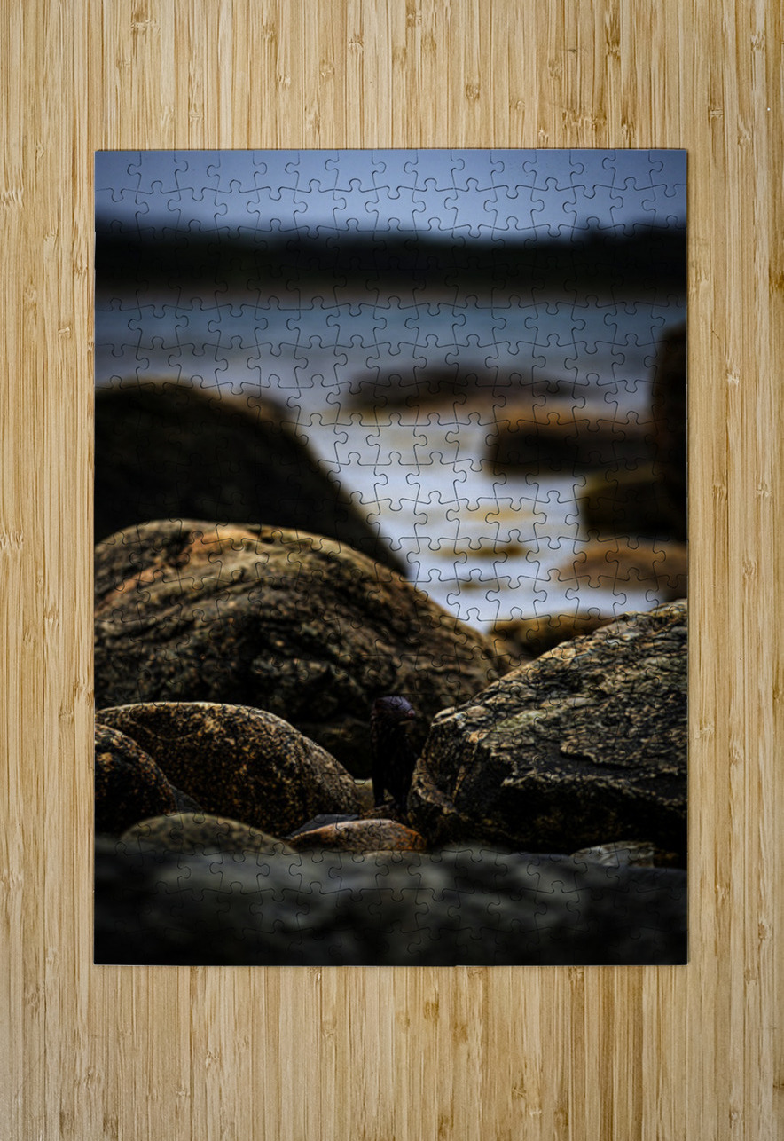 Mighty Mink IV Francois Lapointe Puzzle printing