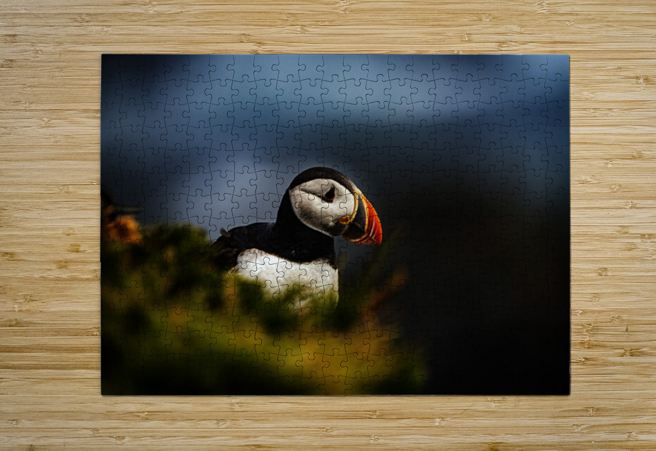 Colorful Francois Lapointe Puzzle printing