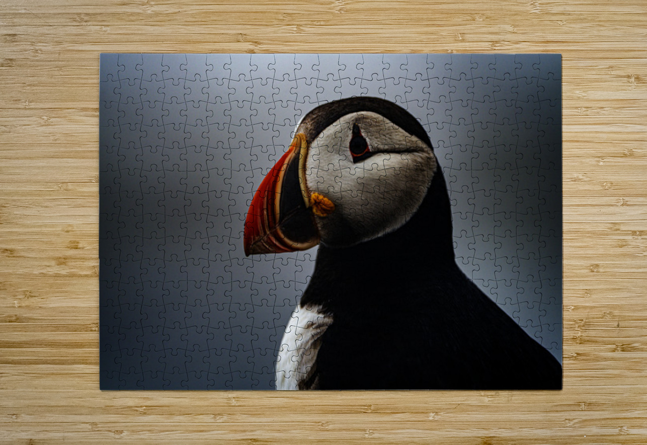 Sea Parrot III Francois Lapointe Puzzle printing