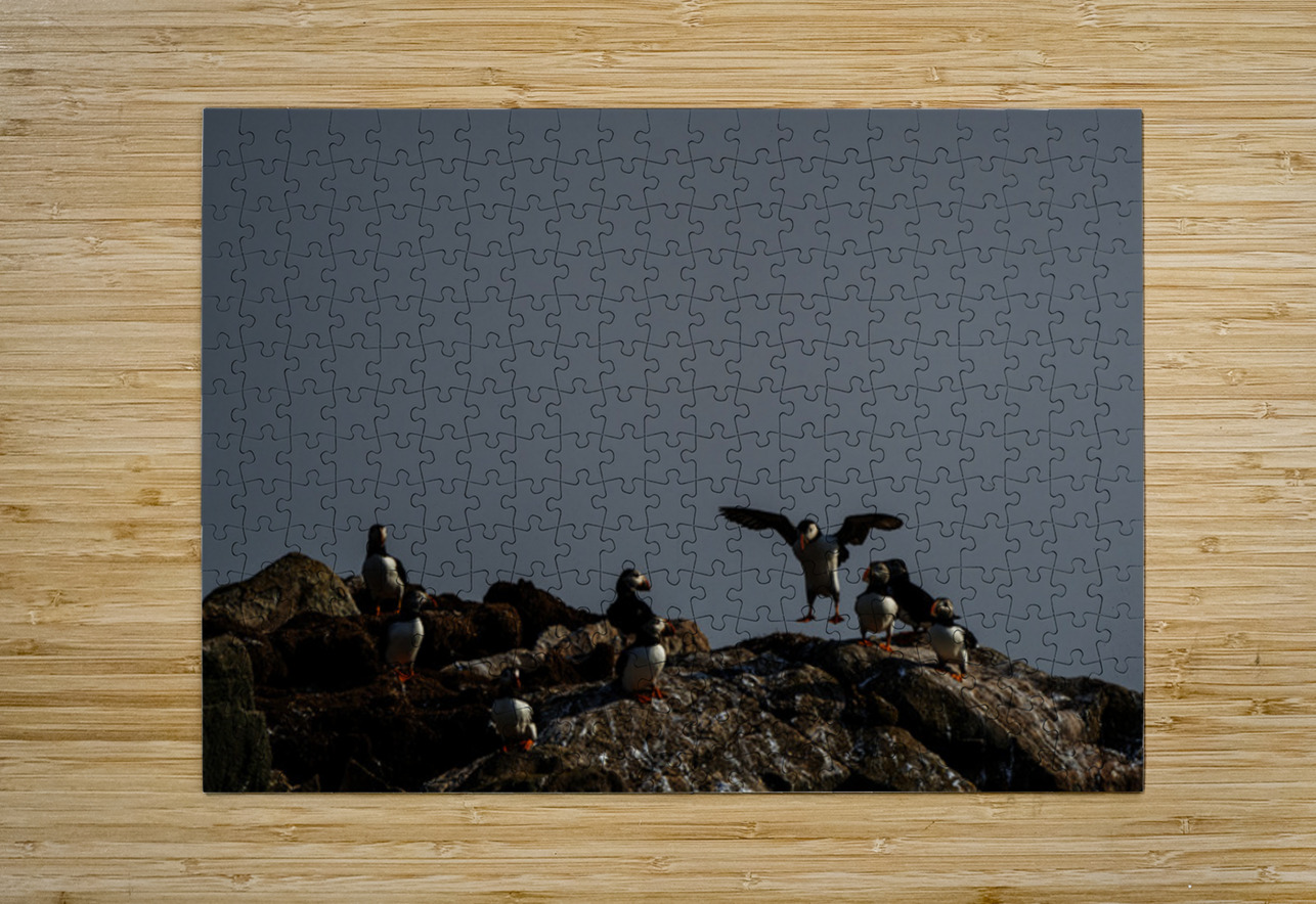 Bounce Francois Lapointe Puzzle printing