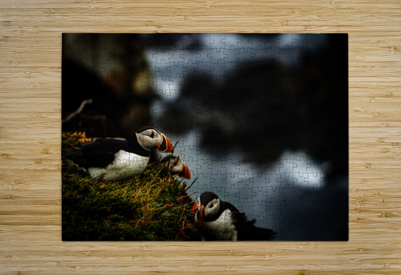 Curious Dude II Francois Lapointe Puzzle printing