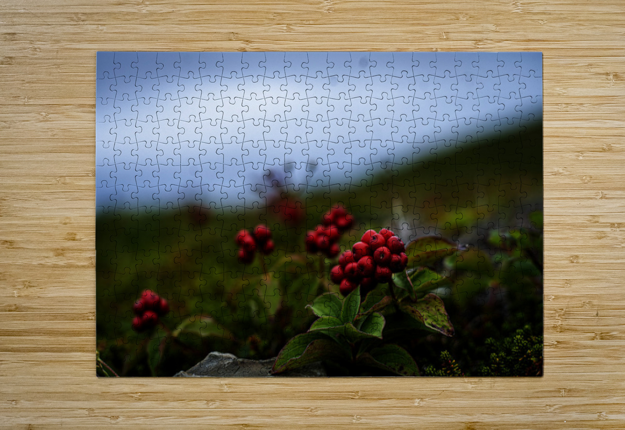 Creeping Dogwood Floor Francois Lapointe Puzzle printing