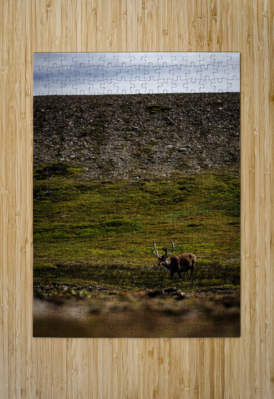 No Santa in Sight Francois Lapointe Puzzle printing