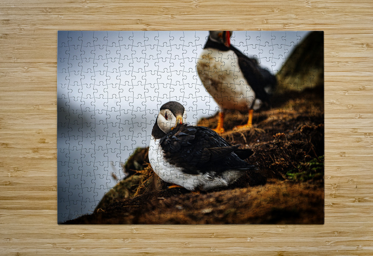 Just a little relaxation Francois Lapointe Puzzle printing