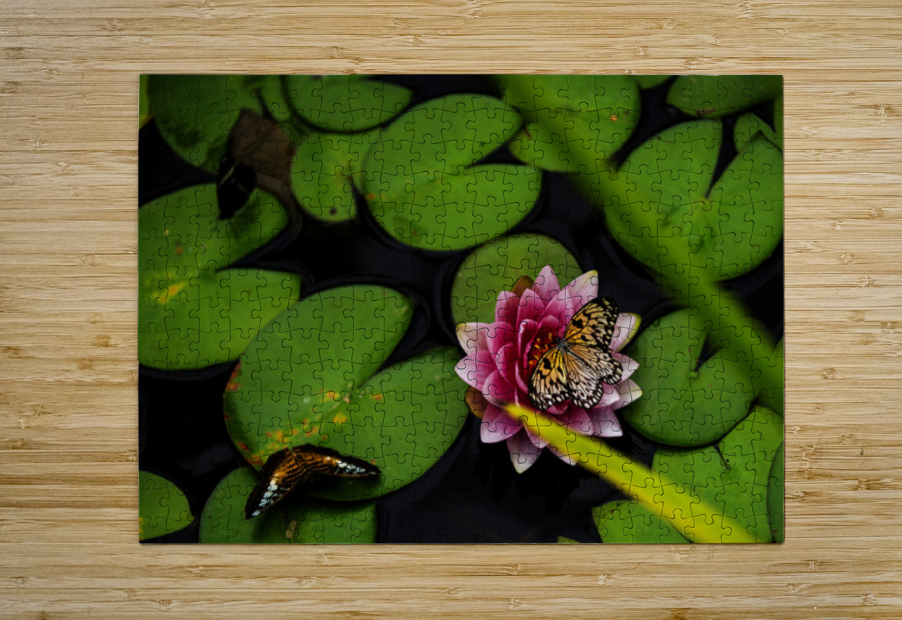 Butterflies and Lilies  Francois Lapointe Puzzle printing