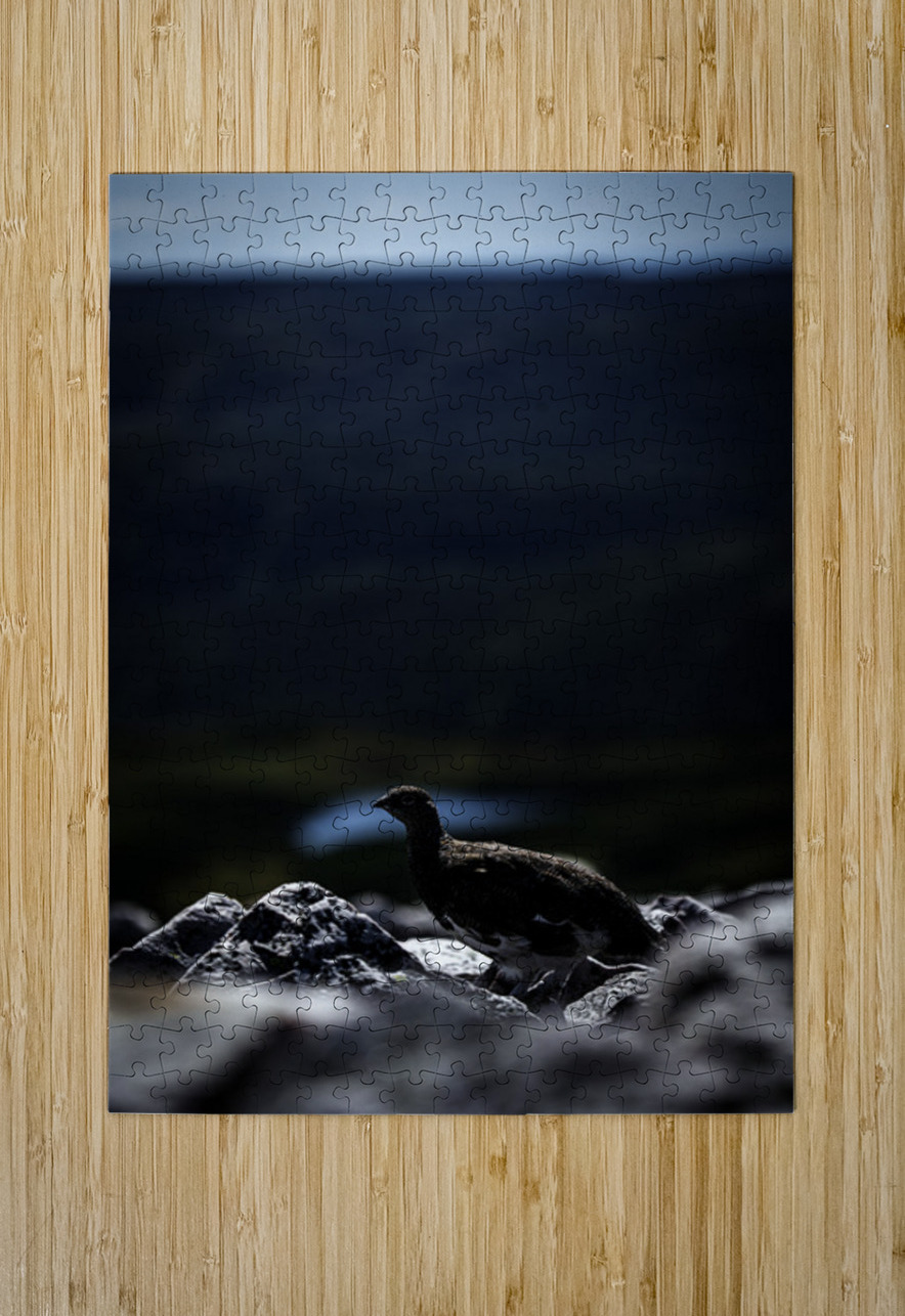 Beyond - a Valley III Francois Lapointe Puzzle printing