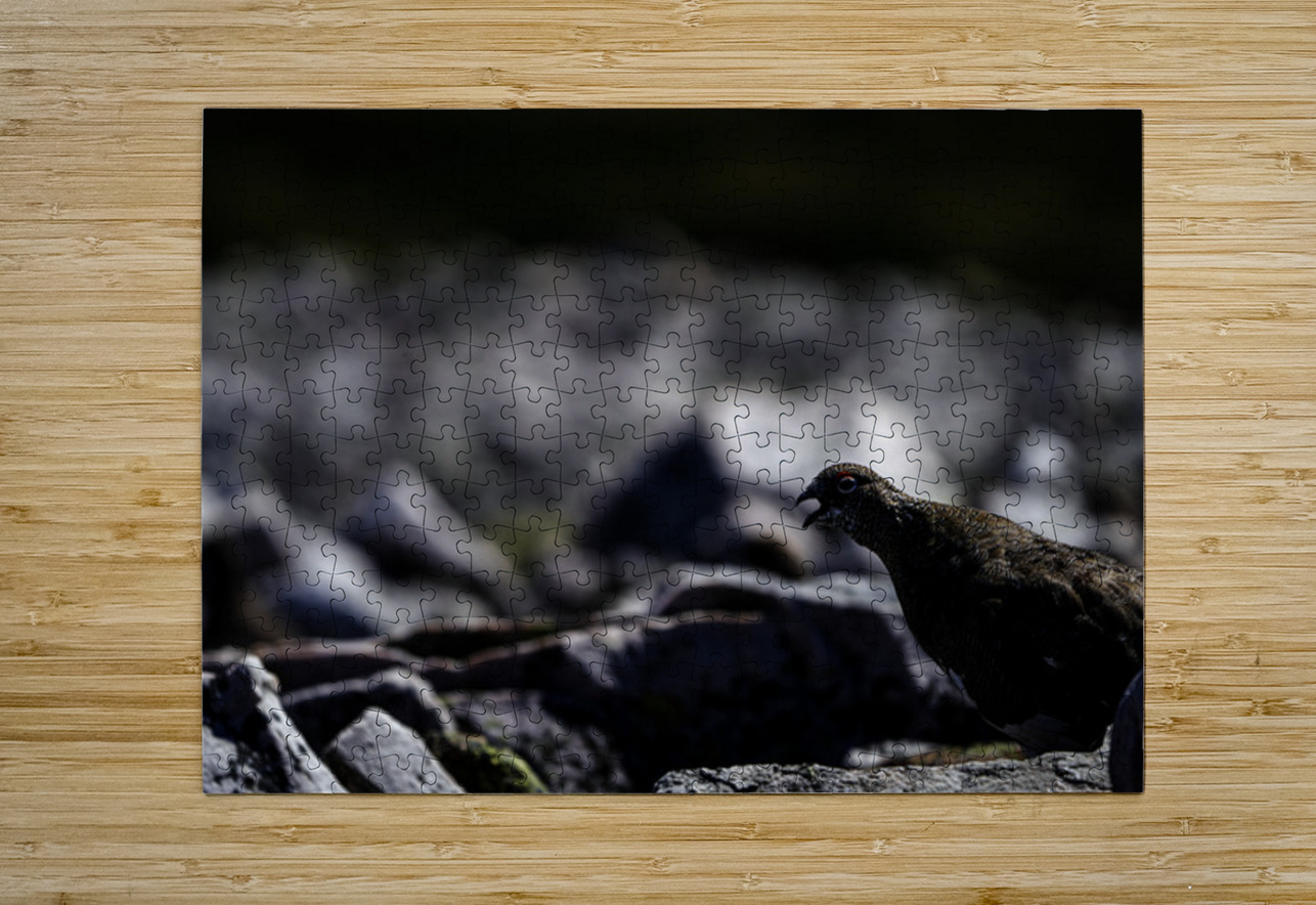 Baritone Bird II Francois Lapointe Puzzle printing