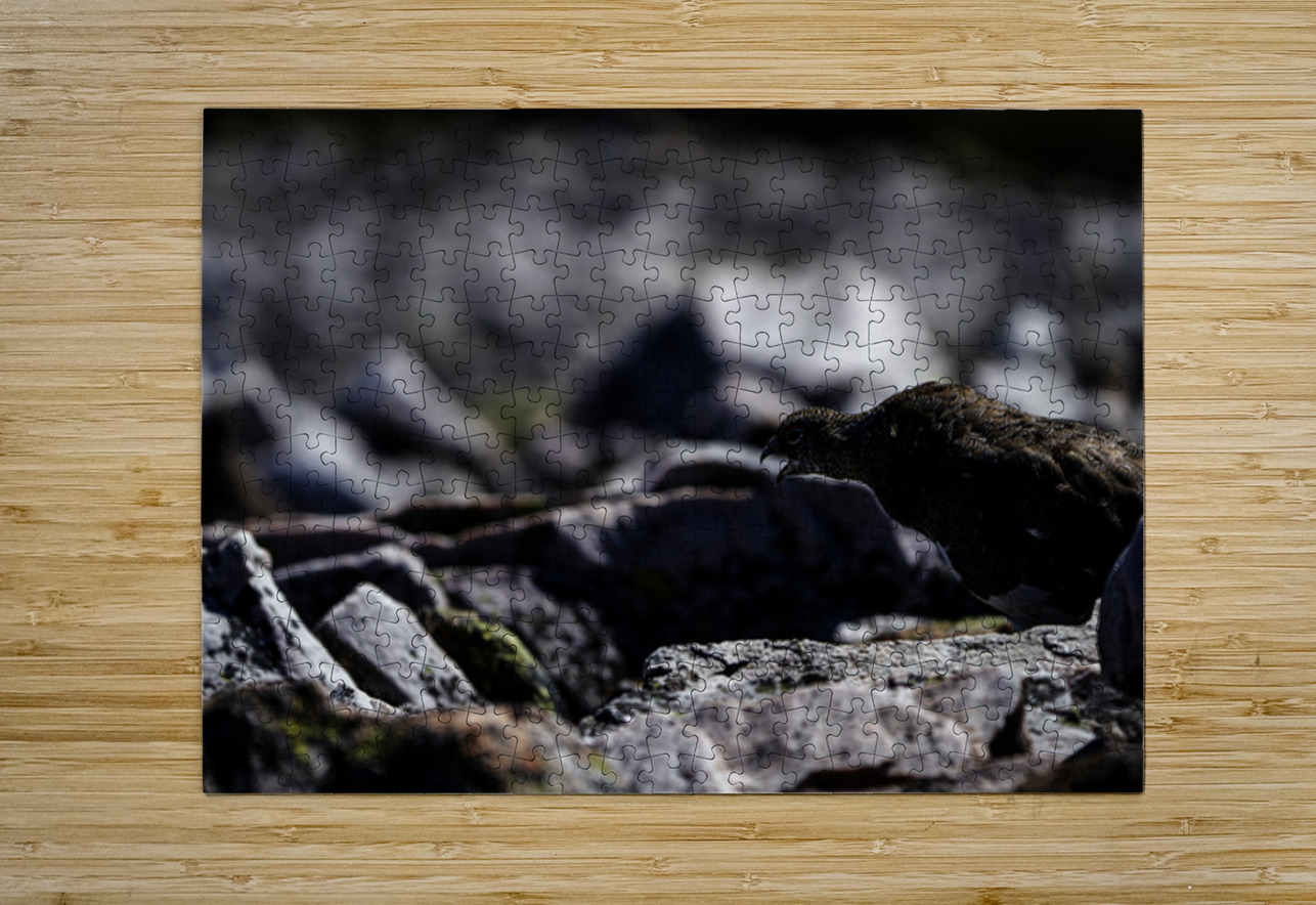 Baritone Bird Francois Lapointe Puzzle printing