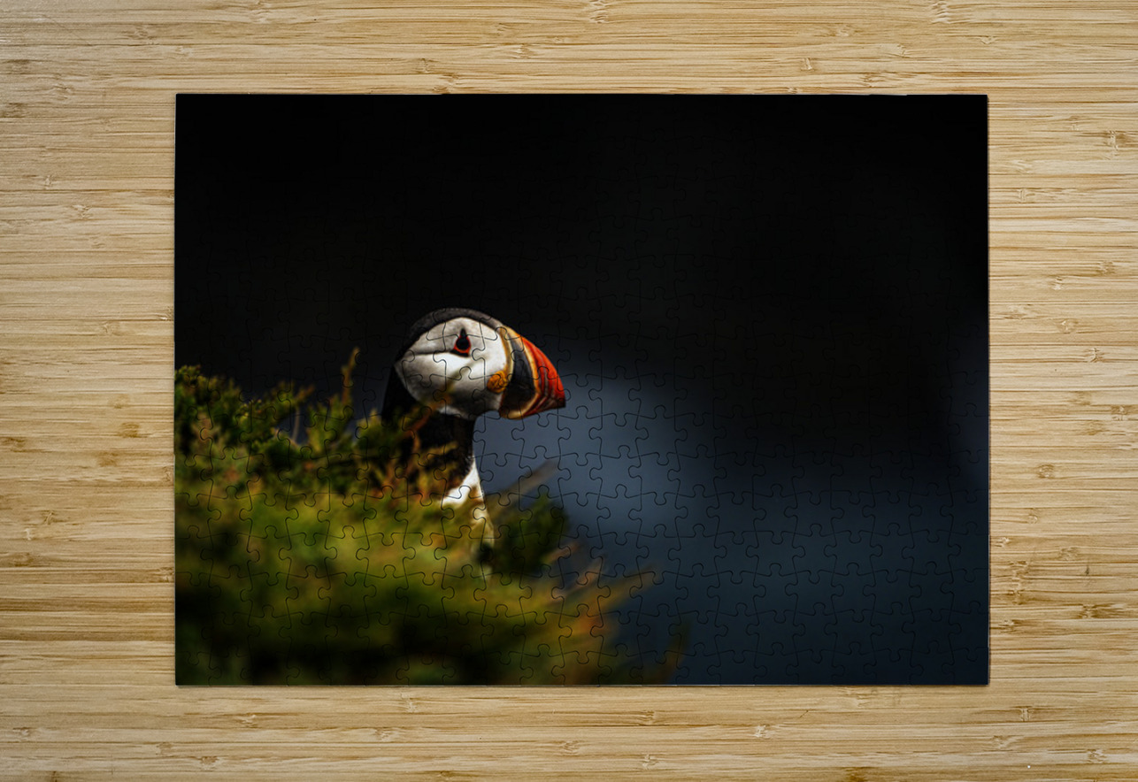 Almost Camo Francois Lapointe Puzzle printing