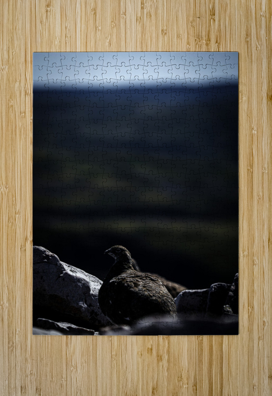 Beyond - a Valley II Francois Lapointe Puzzle printing