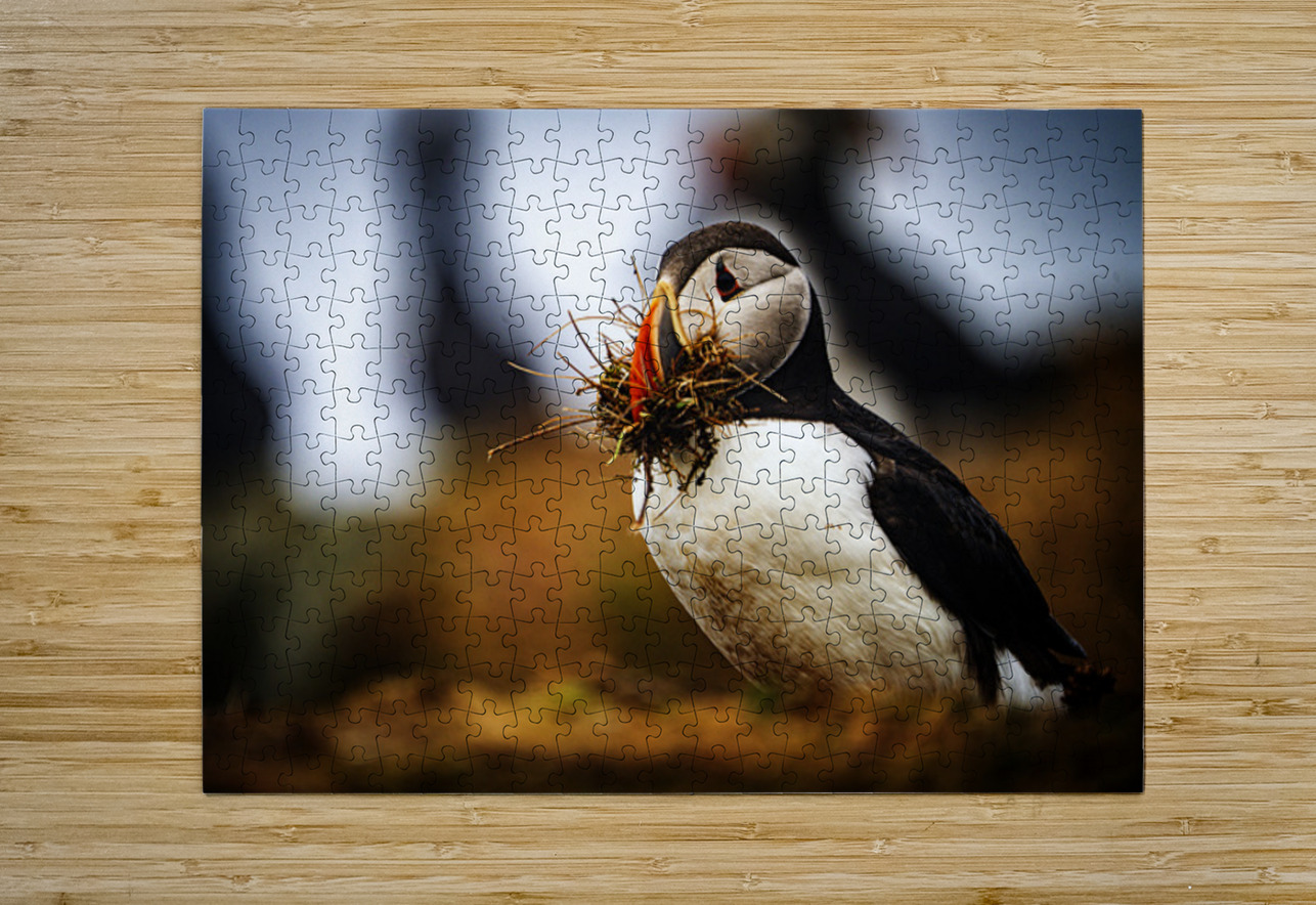 Beak Full II Francois Lapointe Puzzle printing
