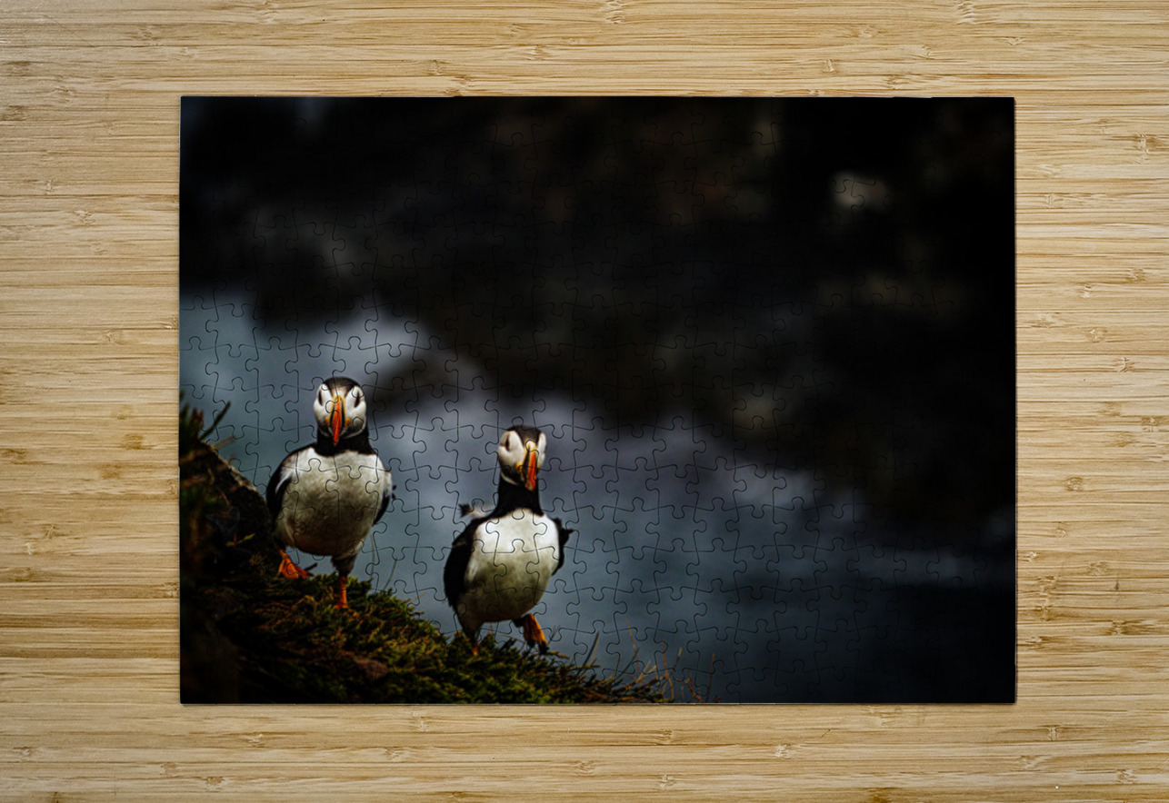 Rough Wind Rough Feather Francois Lapointe Puzzle printing