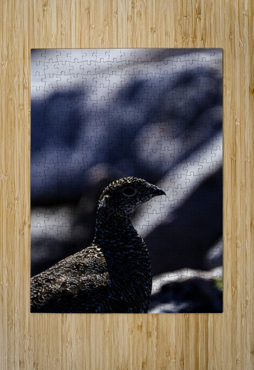 Hard as Rock III Francois Lapointe Puzzle printing