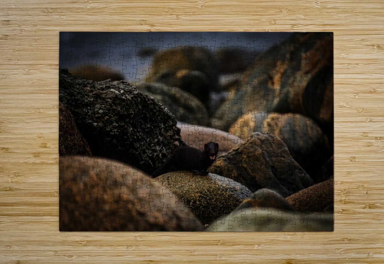 Mighty Mink II Francois Lapointe Puzzle printing