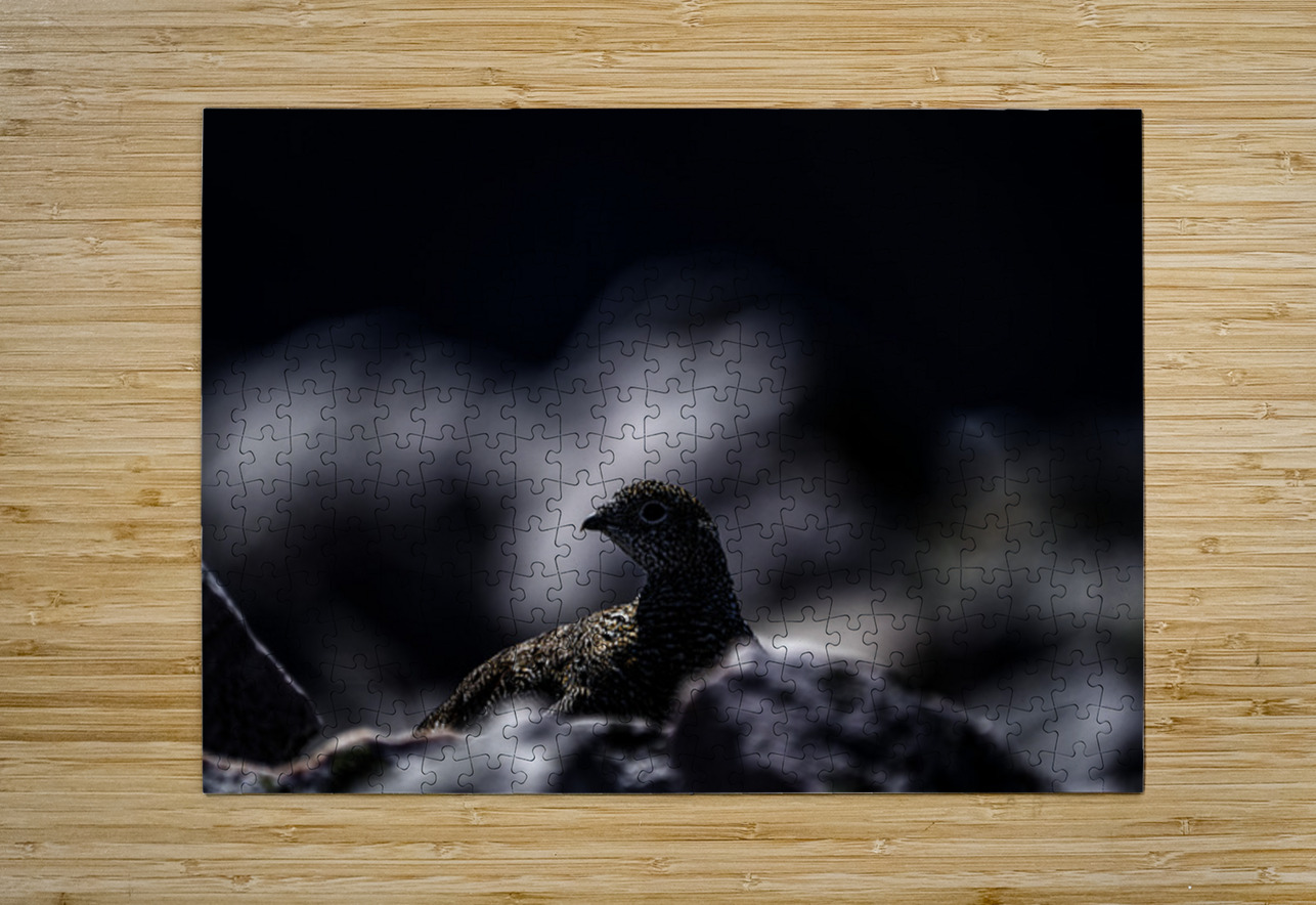 Hard as Rock II Francois Lapointe Puzzle printing