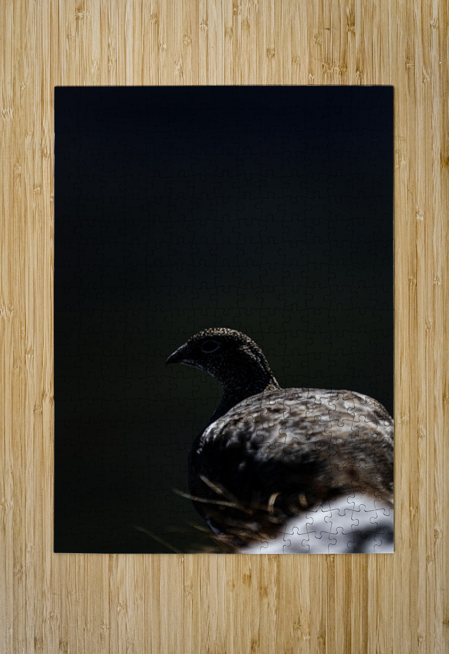 Beyond - a Valley Francois Lapointe Puzzle printing